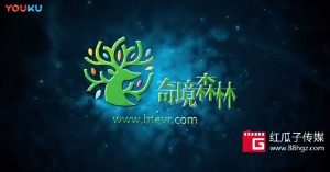 紅瓜子文化傳媒-奇鏡森林企業動畫宣傳片
